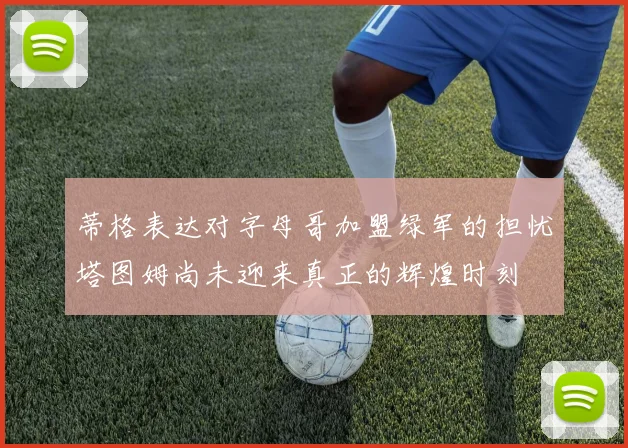 蒂格表达对字母哥加盟绿军的担忧塔图姆尚未迎来真正的辉煌时刻