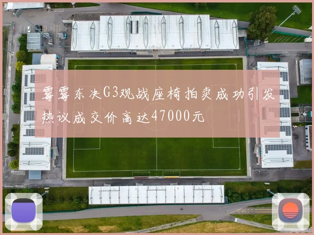 霉霉东决G3观战座椅拍卖成功引发热议成交价高达47000元