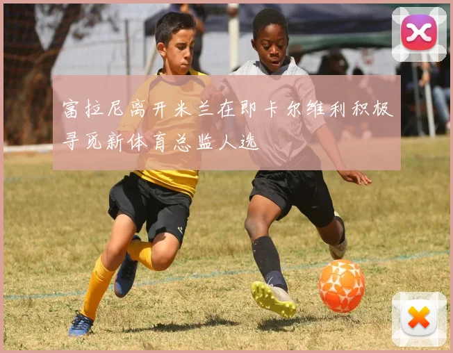 富拉尼离开米兰在即卡尔维利积极寻觅新体育总监人选